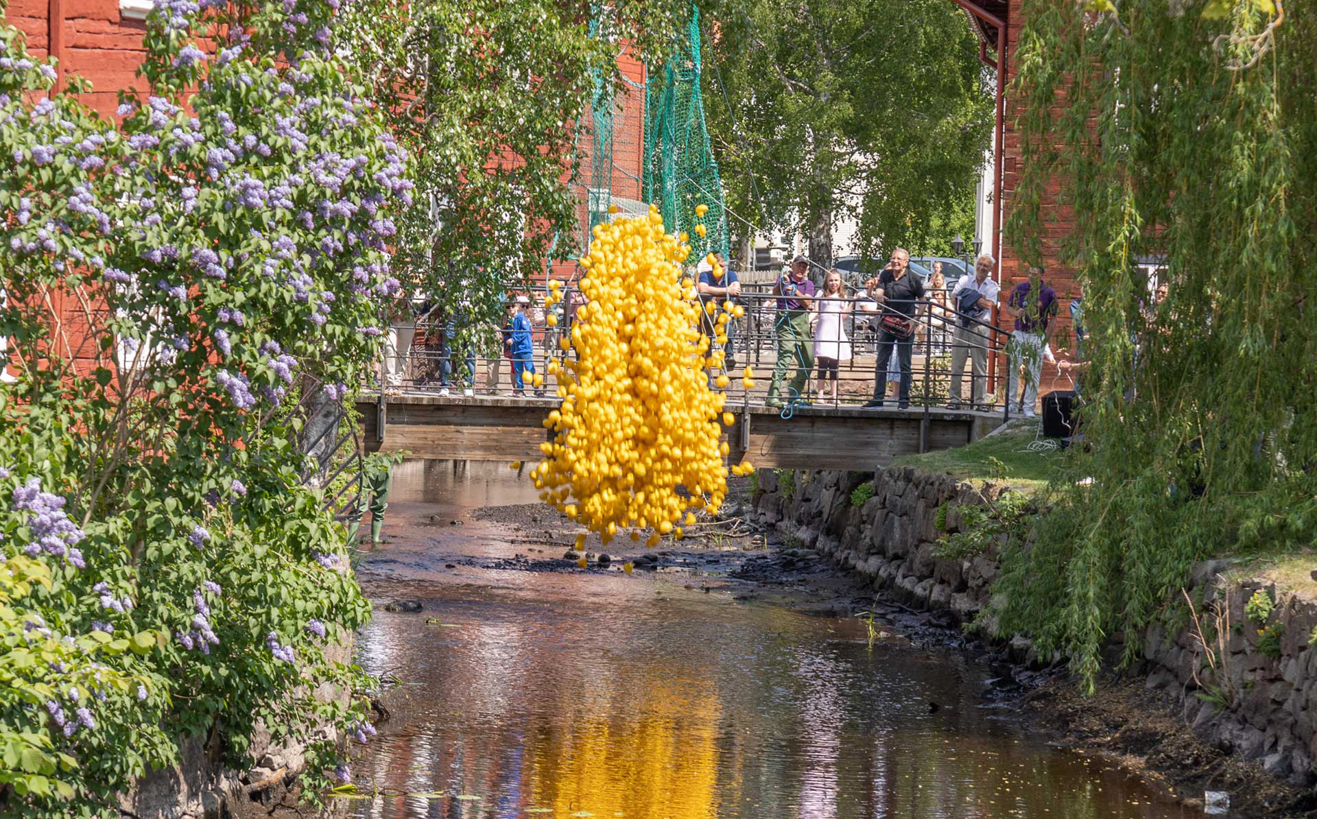 Ankrace i Eksjöån.